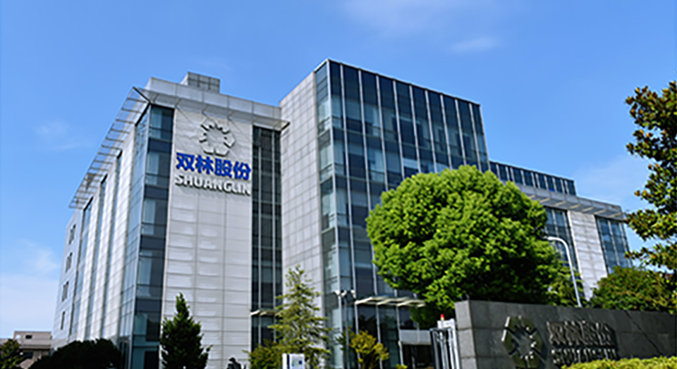 mg不朽情缘印象